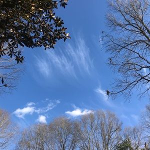 Meet your Posher, Kaylyn